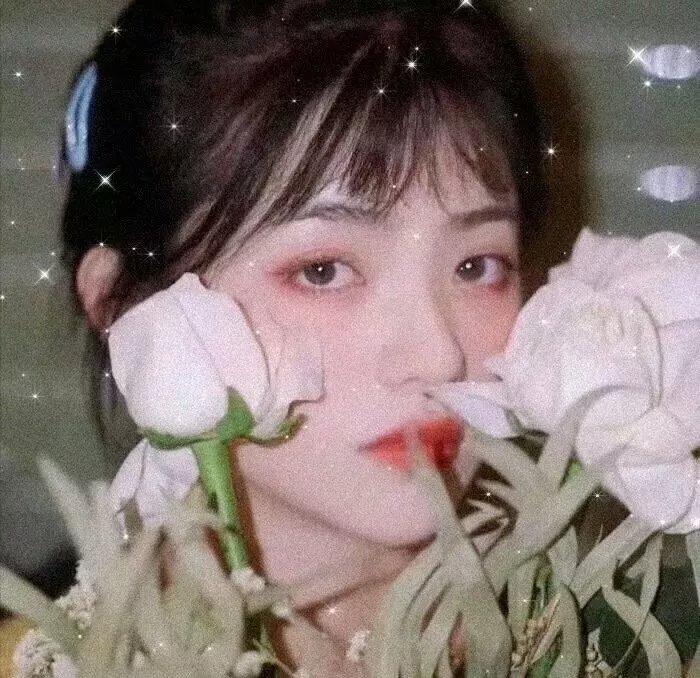 警之光第一季